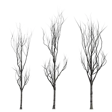Young Oak Trees Set for Modern Exteriors 3D model image 1 