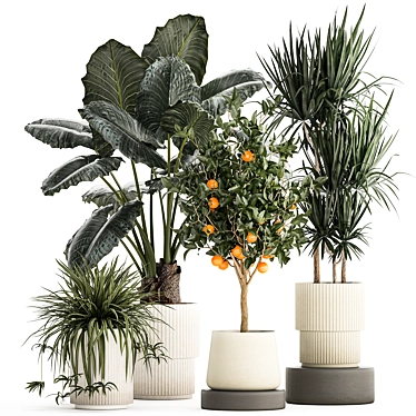 Tropical Plants Collection in Concrete Pots 3D model image 1 