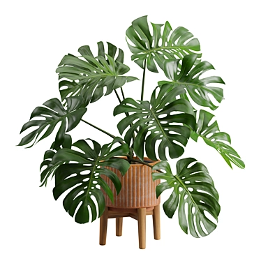 Tropical Monstera Plant Stand Pot 3D model image 1 