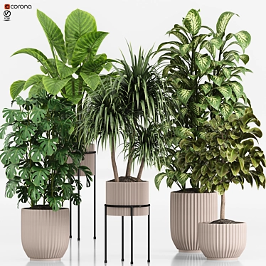  Indoor Plant Set 023 3D model image 1 