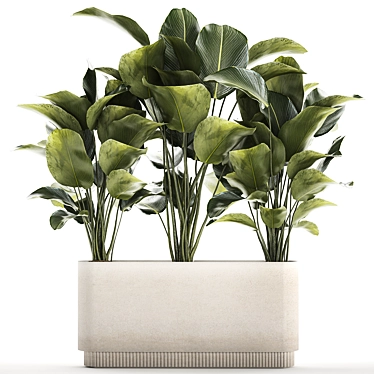 Exotic Plant Set in Concrete Pot 3D model image 1 