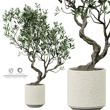 Modern Indoor Plant Model 2015 3D model image 1 