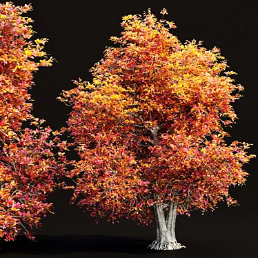 PBR Natural Tree 3D Model 3D model image 1 