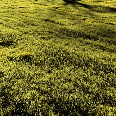 Field Meadow Scene with Scatter 3D model image 1 