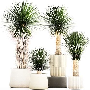 Exotic Yucca Plants in Stylish Pottery 3D model image 1 