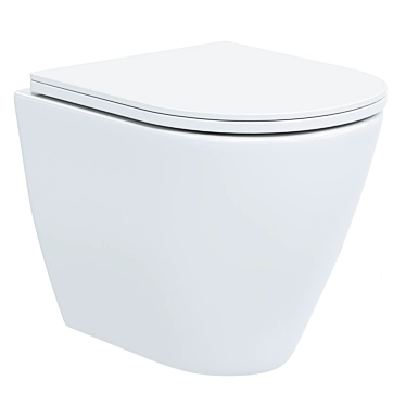 DIWO Wall-Hung Toilet 2014 3D model image 1 