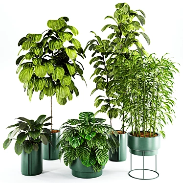 Modern Indoor Plant Set 27 3D model image 1 