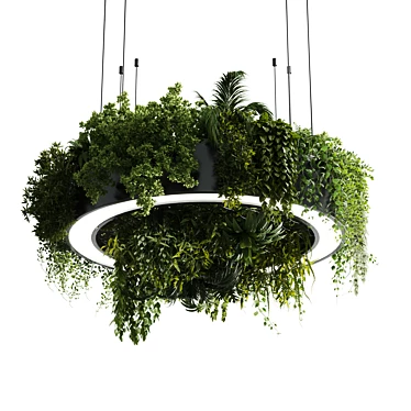 Plant Light Pendant Circle Design 3D model image 1 