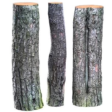 Tree Bark with Plugs 3D model image 1 