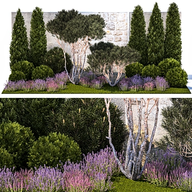 Alpine Garden Collection: Conifers & Lavender 3D model image 1 