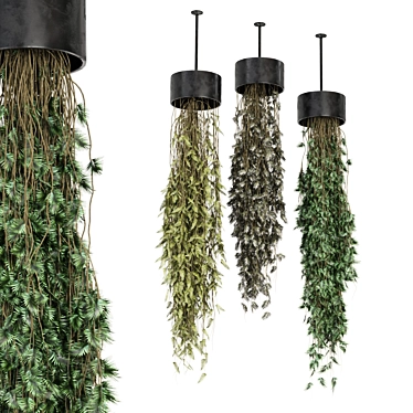 Metal Box Hanging Plant Set 3D model image 1 