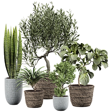 Elegant Interior Foliage Collection 3D model image 1 