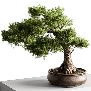 Title: Bonsai Plant 547: Indoor Beauty 3D model image 1 