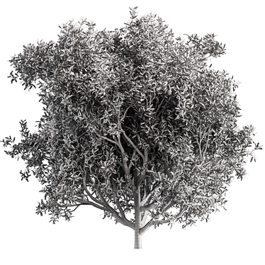 California Bay Bush Set 120 3D model image 1 