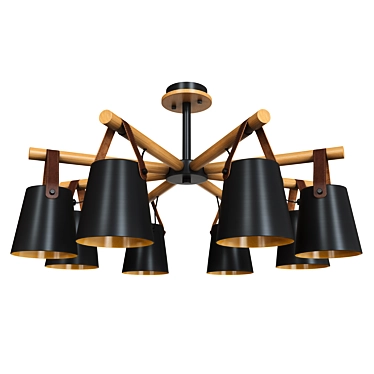 Artelamp Thomas Ceiling Chandelier Black White 3D model image 1 