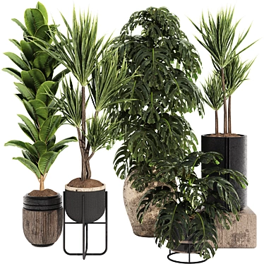 Indoor Tropical Plant Collection Set 179