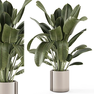 Rustic Concrete Pot Indoor Plants 3D model image 1 