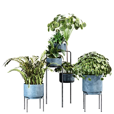 Modern Indoor Plant Set 29 3D model image 1 