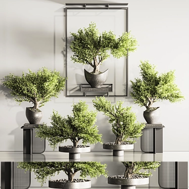 Indoor Plant Bonsai Set 114 3D model image 1 