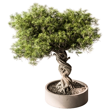 Zen Bonsai Plant 548 3D model image 1 