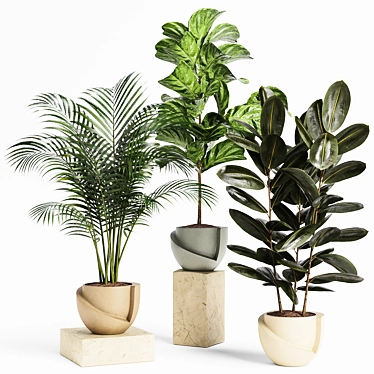 Whimsical Indoor Plants Collection 3D model image 1 