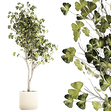 Ginkgo Biloba Decor Tree in Concrete Pot 3D model image 1 