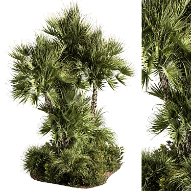 Exotic Outdoor Tropical Garden Plants 3D model image 1 