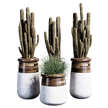 Quality Indoor Plant Set 37 3D model image 1 