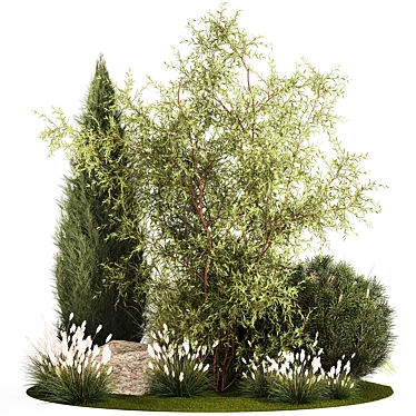 Decorative Tree & Shrub Collection 3D model image 1 