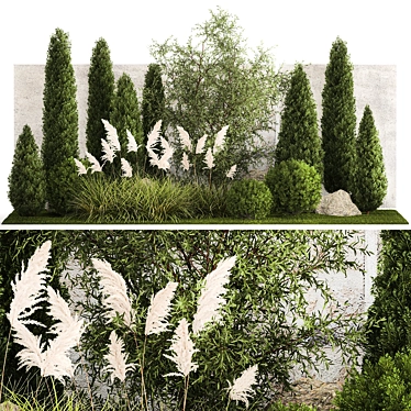 Urban Oasis Collection: Ornamental Trees & Grasses 3D model image 1 