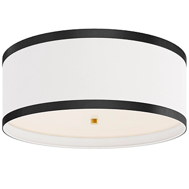 Contemporary Visual Comfort Ceiling Light 3D model image 1 