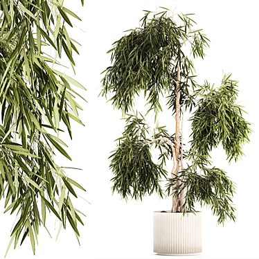 White Flowerpot Weeping Willow 3D model image 1 