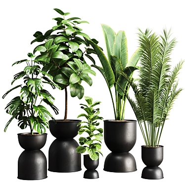 Greenery Enhancing Indoor Plant Collection 3D model image 1 