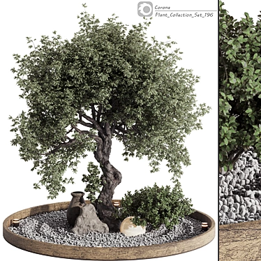 Vintage Olive Tree Patio Decor 3D model image 1 