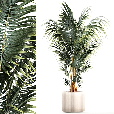 Modern Mini Decorative Indoor Palm 3D model image 1 