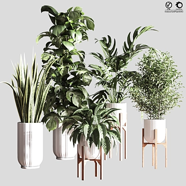 Lush Indoor Plant Set 3D model image 1 