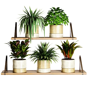 Cozy Shelf Plants Set 3D model image 1 