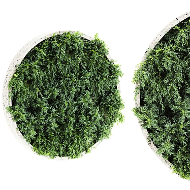 Green Oasis Plants Set 65 3D model image 1 