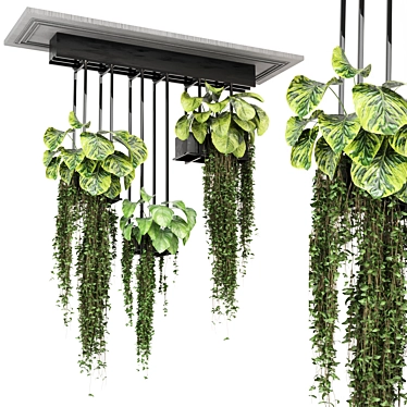 Metal Box Hanging Plants Set 3D model image 1 