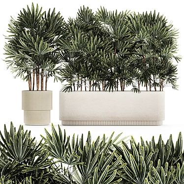 Modern White Plant Collection with Rhapis Palm 3D model image 1 