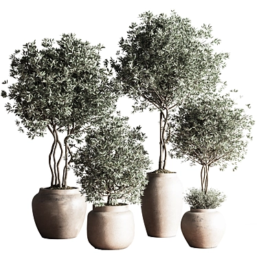 Modern Urban Indoor Plant Set 3D model image 1 