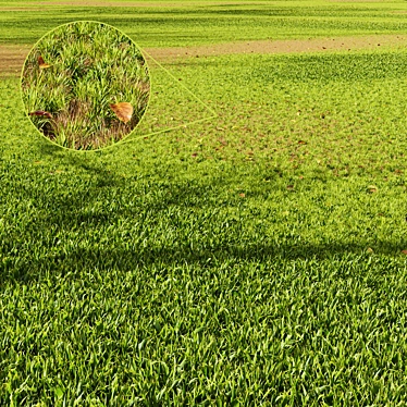 Green Meadow 3D Model Kit 3D model image 1 