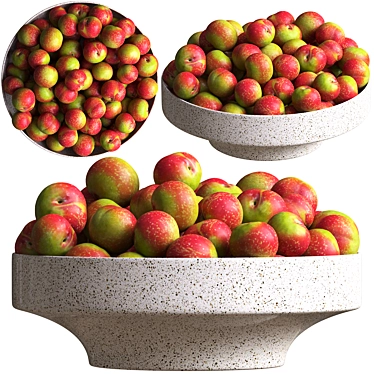 Red Plum in Elegant Bowl 3D model image 1 