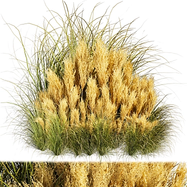 Premium Grass Collection Model - Vray Corona 3D model image 1 