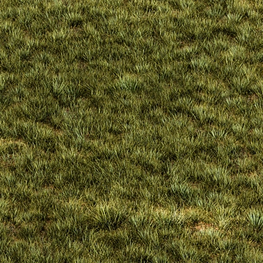 Rectangular Manually Scatter Grass 3D model image 1 