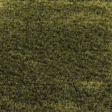 Rectangular Short Grass Set 28 3D model image 1 