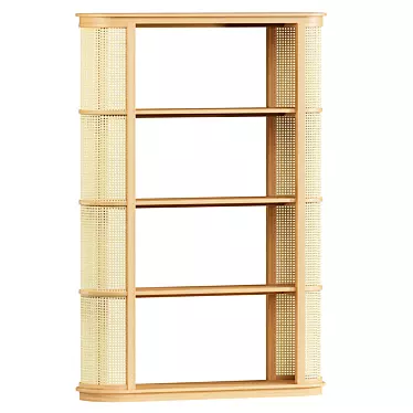 Sleek Cane Bookcase Shelf Display 3D model image 1 