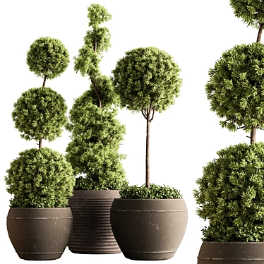 Topiary Ball Outdoor Plants 3D model image 1 