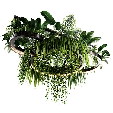 Modern Indoor Plant Hanging Set 3D model image 1 