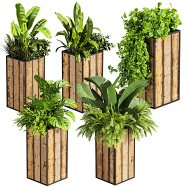 Banana Box Office Plant 3D model image 1 